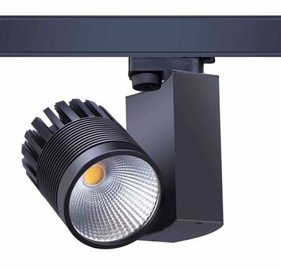 LS-30-700, Eaglerise, Led driver, 700mA, 30W, Ray Spot, Track light, COB, led sürücü, 25~43vdc, 