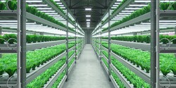 SL-B8R5C9H2AWW-Samsung Bitki Led-horticulture-led- 2ft 38.5~45.5V 1200~1600mA 52w 8800lm - Thumbnail